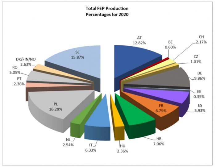FEP_2020_3-1-e1625740187790